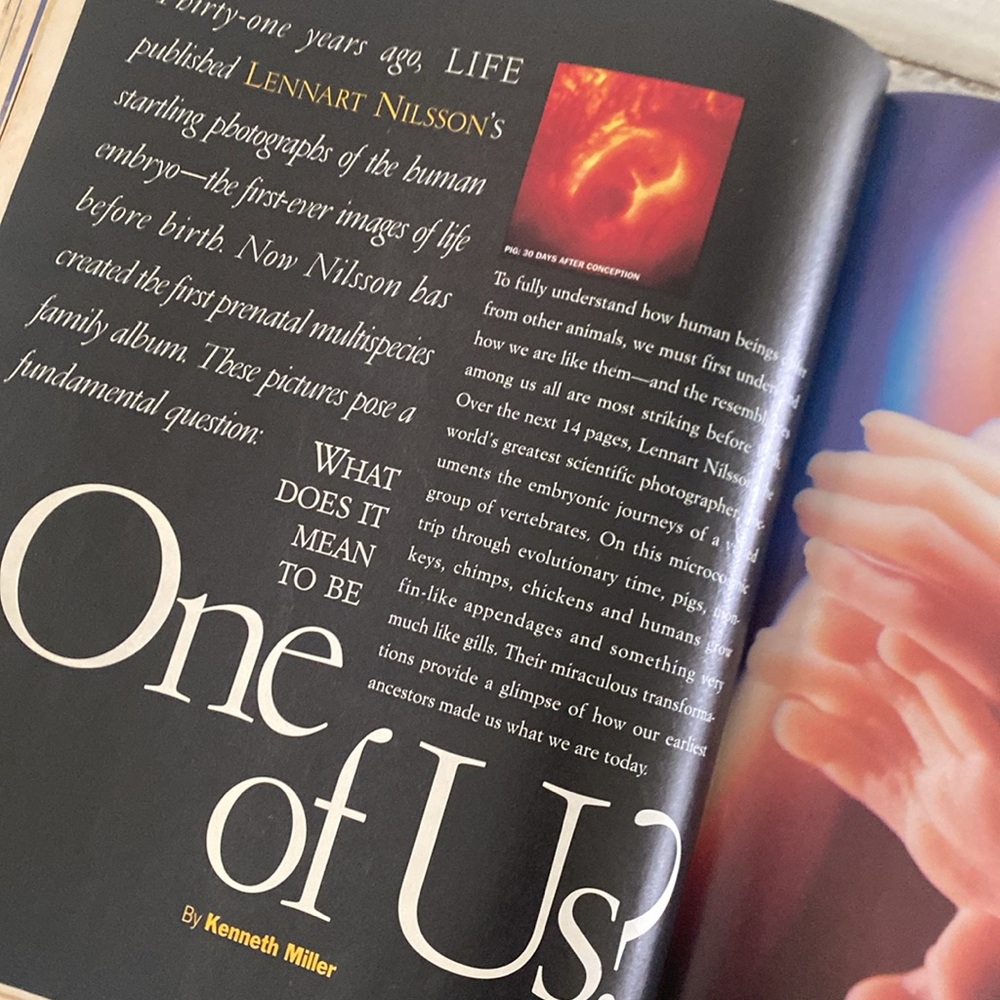 1996 Life Magazine - The Dawn of Life Issue - Picture 4 of 11
